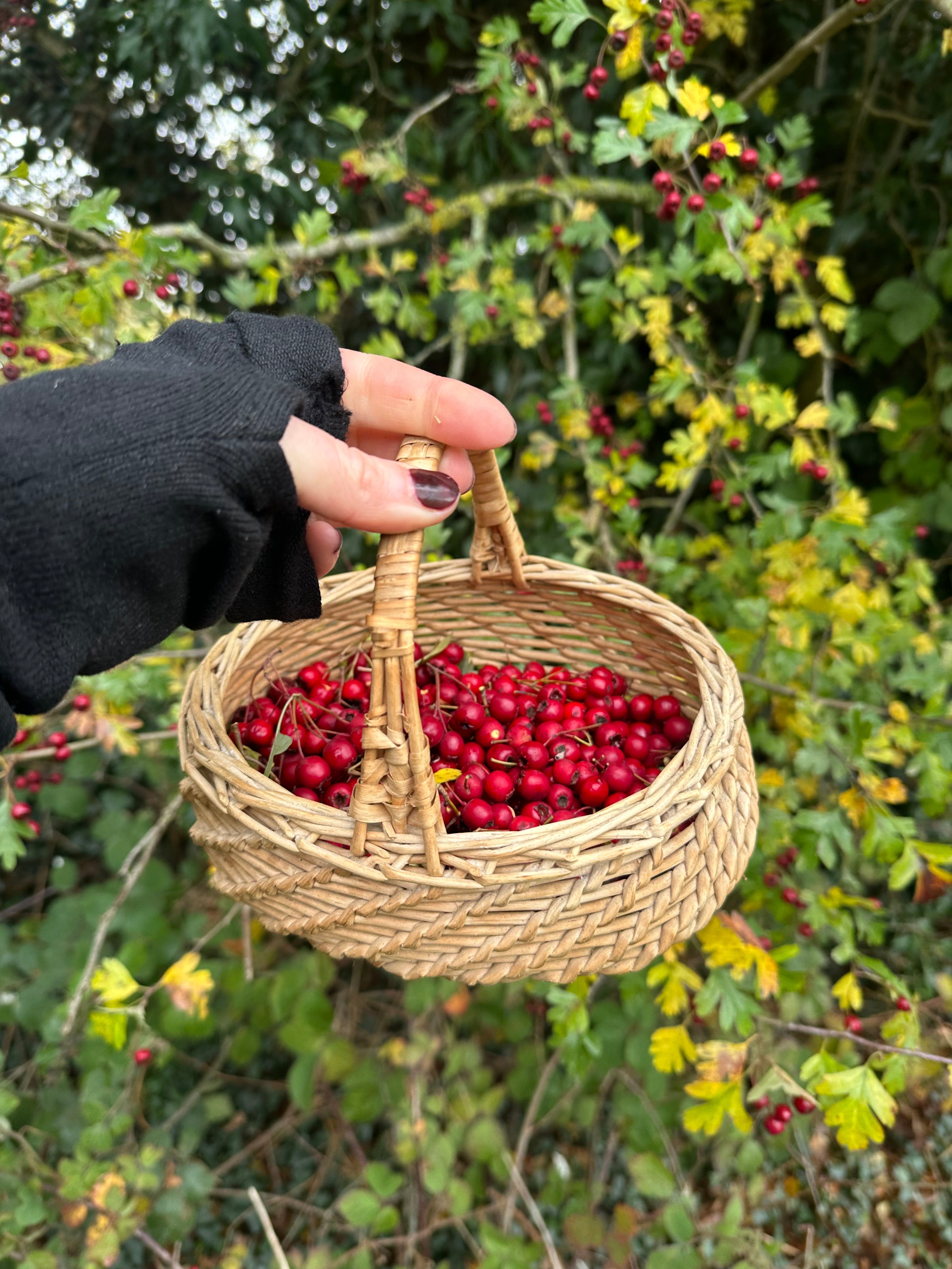 Why forage?